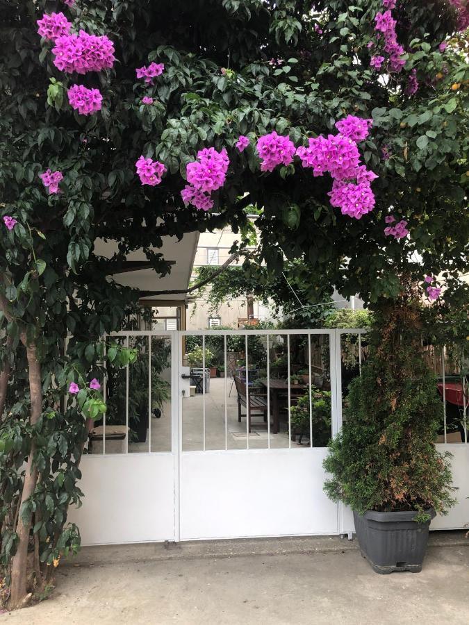 Apartmani Maretimo Primošten Extérieur photo