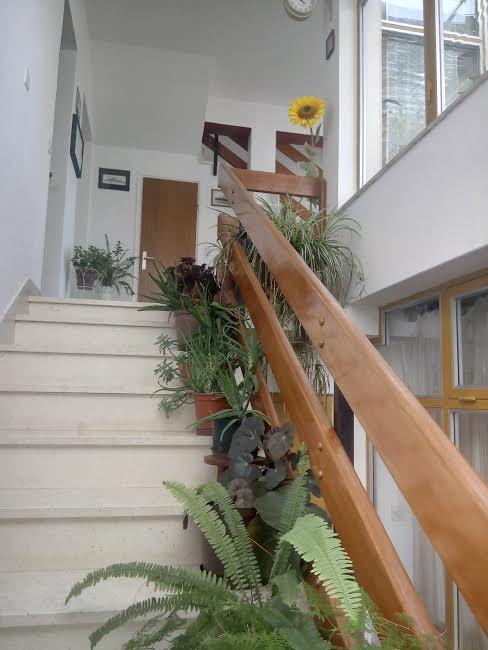 Apartmani Maretimo Primošten Extérieur photo