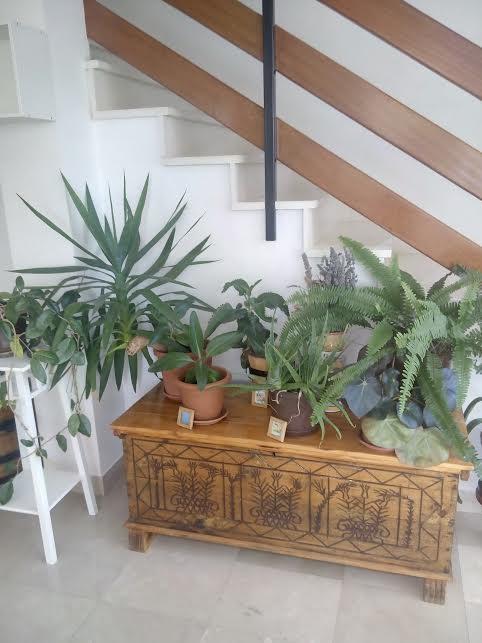 Apartmani Maretimo Primošten Extérieur photo
